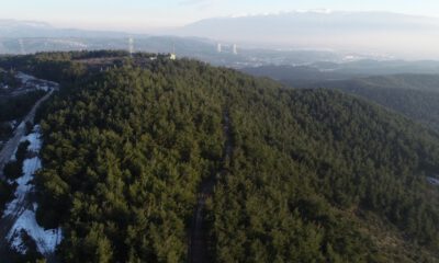 Bursa’da Çevre Felaketi