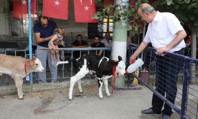 Mudanya, Süt Şenliği’nde buluştu