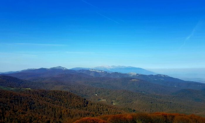 En Güzel Sonbahar Fotoğrafları