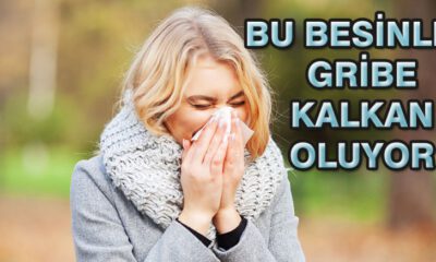 Bu Besinler Gribe Kalkan oluyor