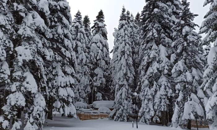 Uludağ’da kar kalınlığı 160 santimetre