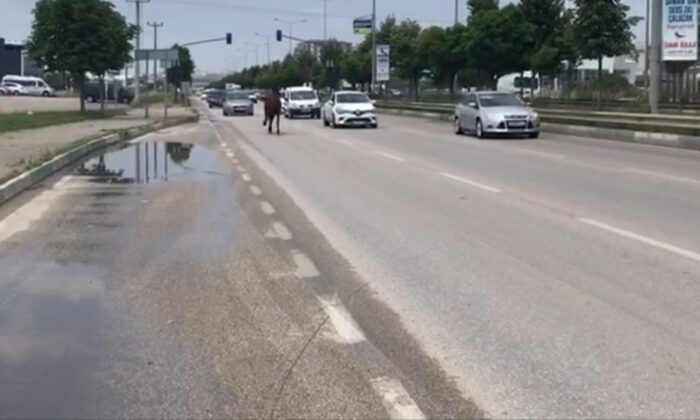  Bursa trafiğinde dört nala koştu