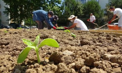 Bursa’da ekolojik dönüşüm… Beton binaların arasına kuruluyor…