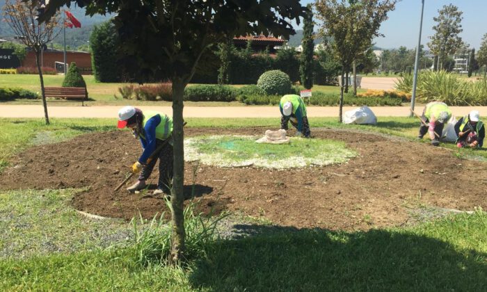 Umudun çiçeği Bursa’da hayat buldu