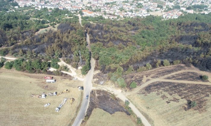 Bursa’daki orman yangınını çıkartan zanlı tutuklandı