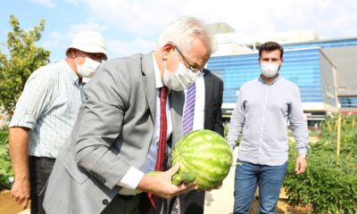 Nilüfer’in Mini Bostanı’nda hasat zamanı