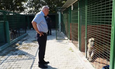 Başkan Kanar’dan ‘’hayvan mezarlığı’’ sözü