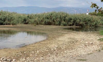 İznik Gölündeki kuraklık korkutuyor