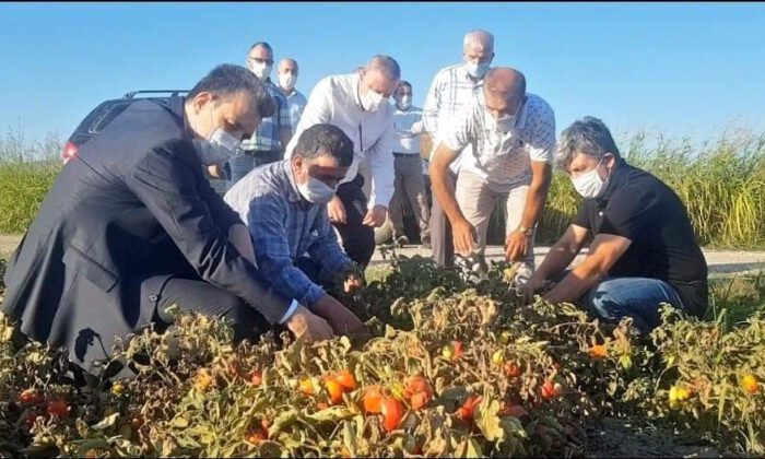 Esgin’den çifçiye ödeme müjdesi