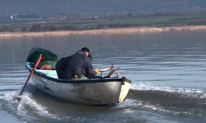 Jandarma kaçak avlananları affetmedi