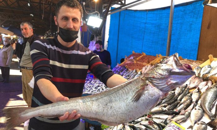 Bursa’da 6 kiloluk dev mezgidi görenler gözlerine inanamadı