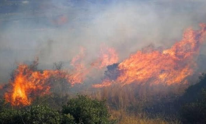 İznik Gölünde korkutan yangın: 60 dönüm arazi kül oldu