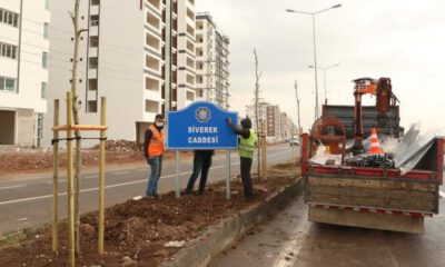 Yer yön levhaları yenilendi