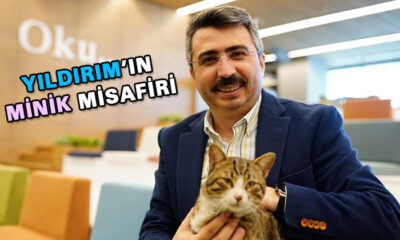 Sevimli kedi belediyeye sığındı