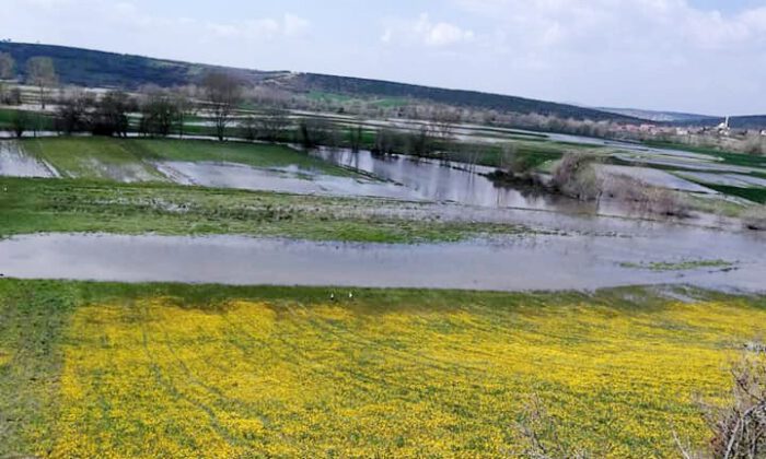 Mudanya’da tarım arazileri sular altında kaldı