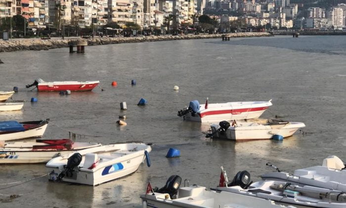 Gemlik Sahilini gören şaşkına dönüyor