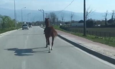 Bursa trafiğinde dört nala koştu