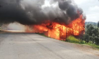 Mudanya’da 2 bağ evi küle döndü