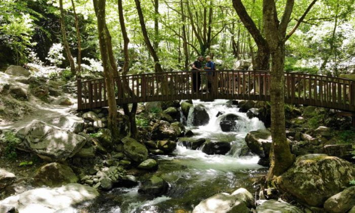 Merkeze bir km uzakta! Kaplıkaya kendine hayran bırakıyor!