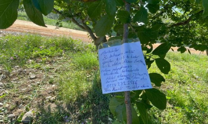 Erik ağacının dalına not bıraktı, “Borcum var ise iban atın”