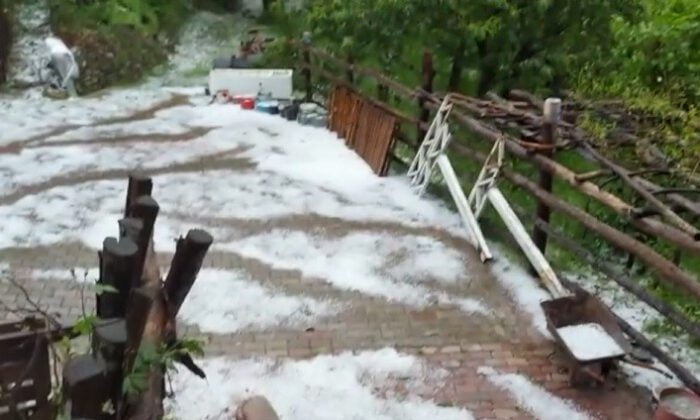 Bursa’da kestane ağaçları doludan zarar gördü