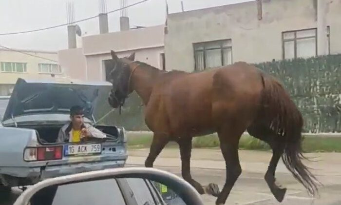 Aracın arkasına at bağlayıp koşturan şahsa ağır ceza