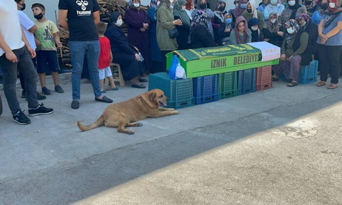 Tabutun başından bir an olsun ayrılmadı