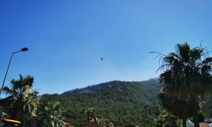 Marmaris’teki orman yangını kontrol altına alındı