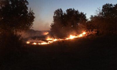 Tarsus’taki orman yangınında 10 hektarlık alan zarar gördü