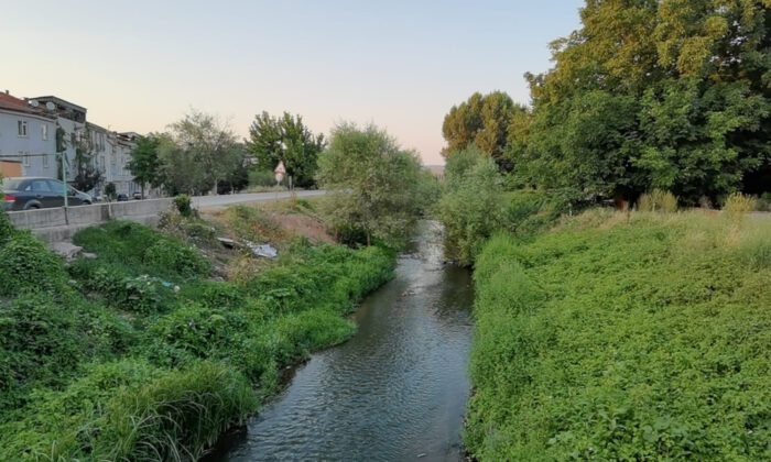 Bursa’da balık ölümleri tedirgin ediyor