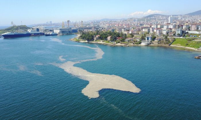 Eski Milletvekilinden Bakan Kurum’a müsilaj mesajı