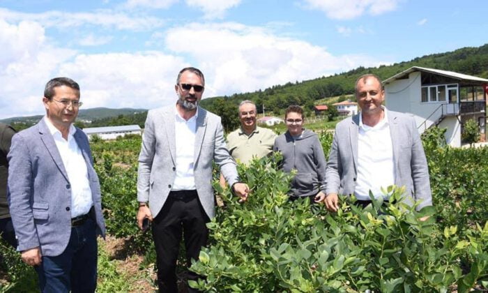 İznik’te yaban mersini festivali