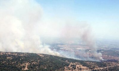 Manisa’da makilik alanda yangın