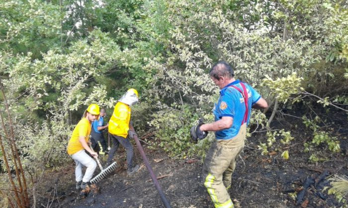 Bursa’da orman yangını paniği