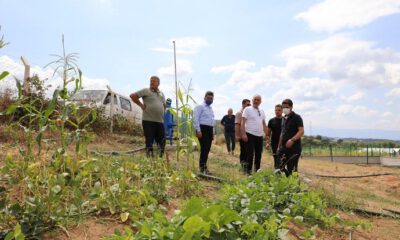 Gemlik Belediyesi ikinci serayı kuruyor