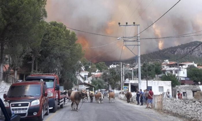 Yangınlar iki ilde devam ediyor