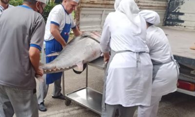 Balık sezonu sıkı denetimle başladı