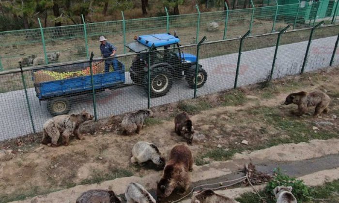 Kış için enerji depoluyorlar