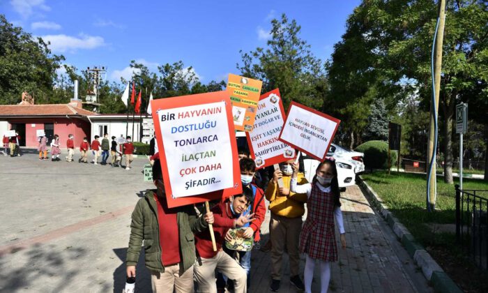 Barınak kapılarını hayvanseverlere açtı