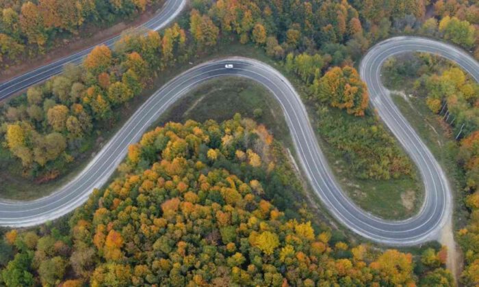 Bursa Ormanları’nda renk cümbüşü