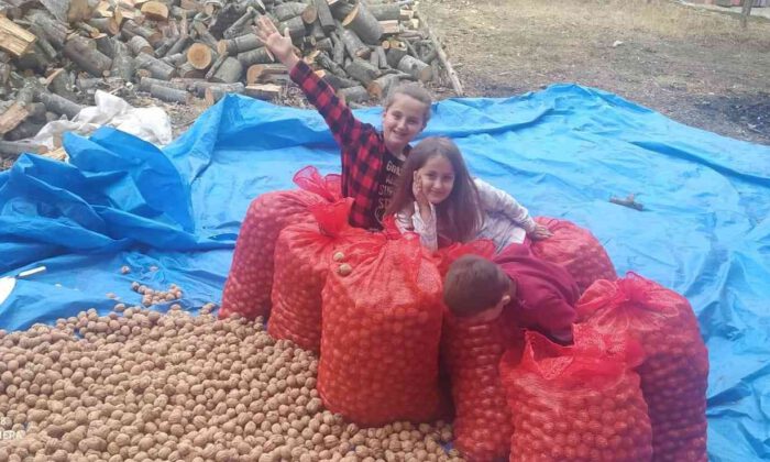 Minikler, ailelerine destek oluyor