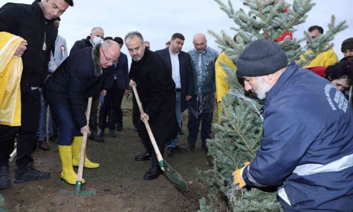 40 bin öğretmene 40 bin fidan