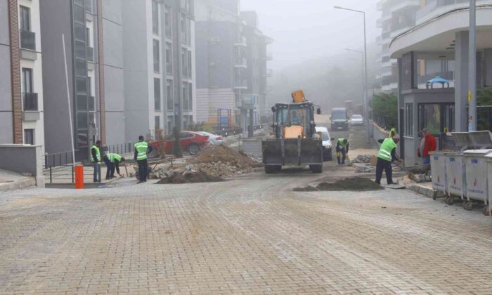 Mudanya, yeni yılda yenilenecek