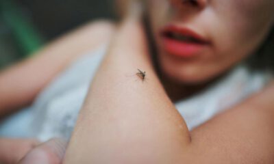 Zika virüsü, her geçen gün yayılıyor