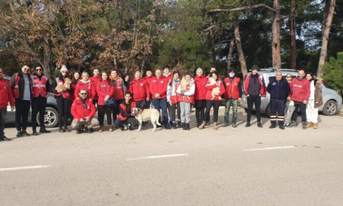 Fabrika atıkları can dostlarına yuva oluyor