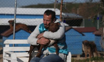 Pitbullar ile dost oldu