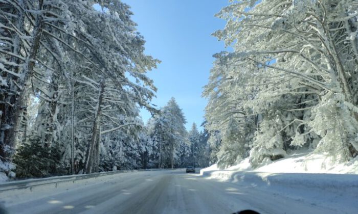 Uludağ yolunda görsel şölen