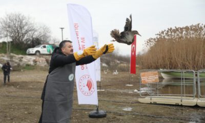 Bakan Pakdemirli göle ördek saldı