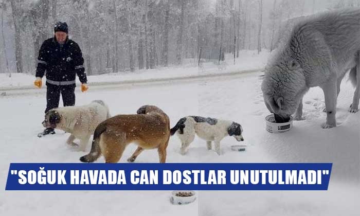 Can dostlar soğuk havalarda unutulmadı