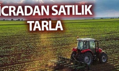 Bursa Karacabey’de 36.750 m² tarla satılıktır